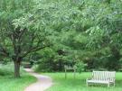 Arboretum Trees