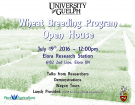 Wheat Breeding Program Open House