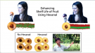 Enhancing shelf life of fruit using hexanal