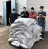 Guelph Food Bank volunteers receiving 800kg of beans grown by the dry bean breeding program
