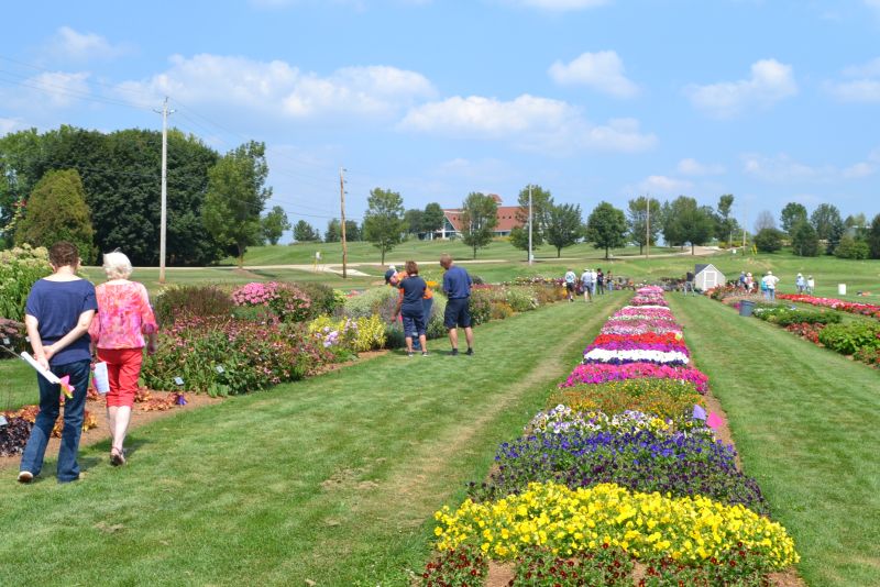 Image of Guelph trial garden