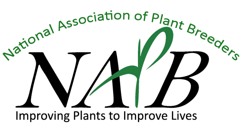 NAPB logo