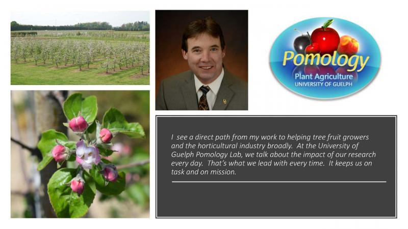 Pomology Logo and photos of John Cline and fruit trees